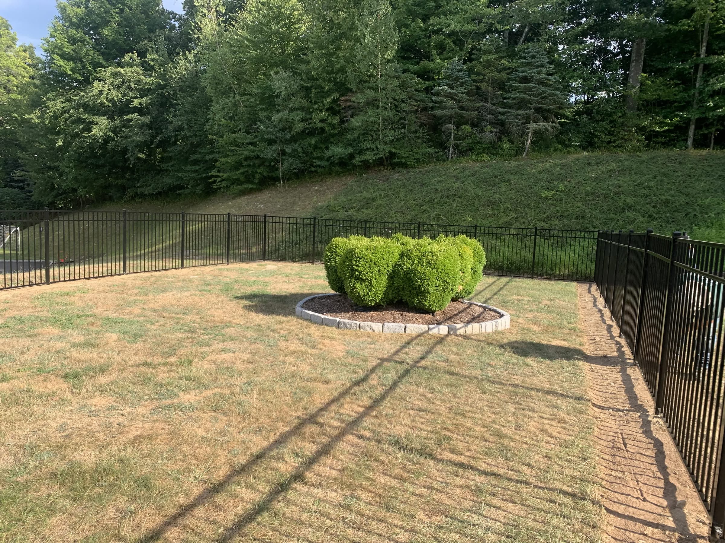 Black aluminum perimeter fence enclosing a large backyard with a shrub bed, wooded hillside behind