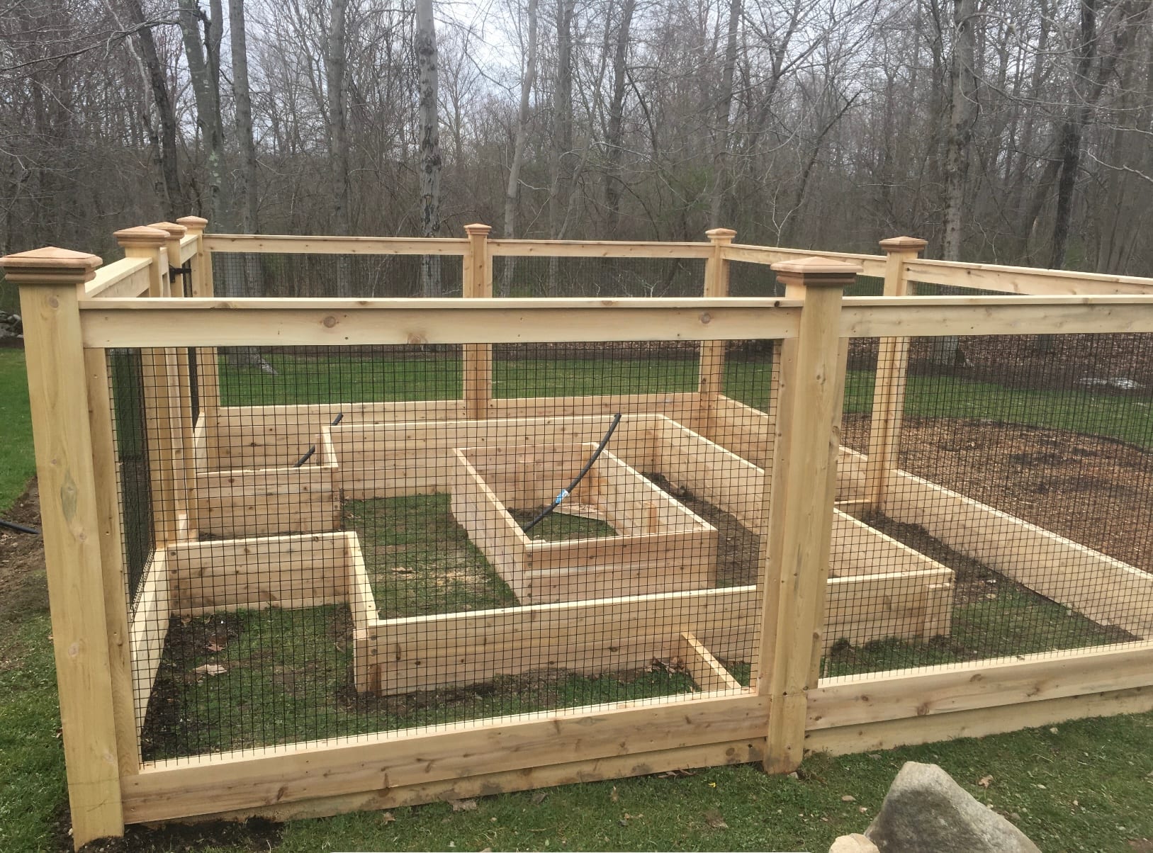 Cedar-framed garden fence with black welded wire and post caps enclosing raised beds, bare spring woods behind.