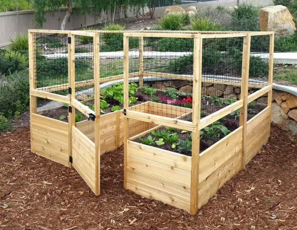 Cedar raised garden bed kit with built-in welded-wire fencing and hinged access panels on a mulched bed.