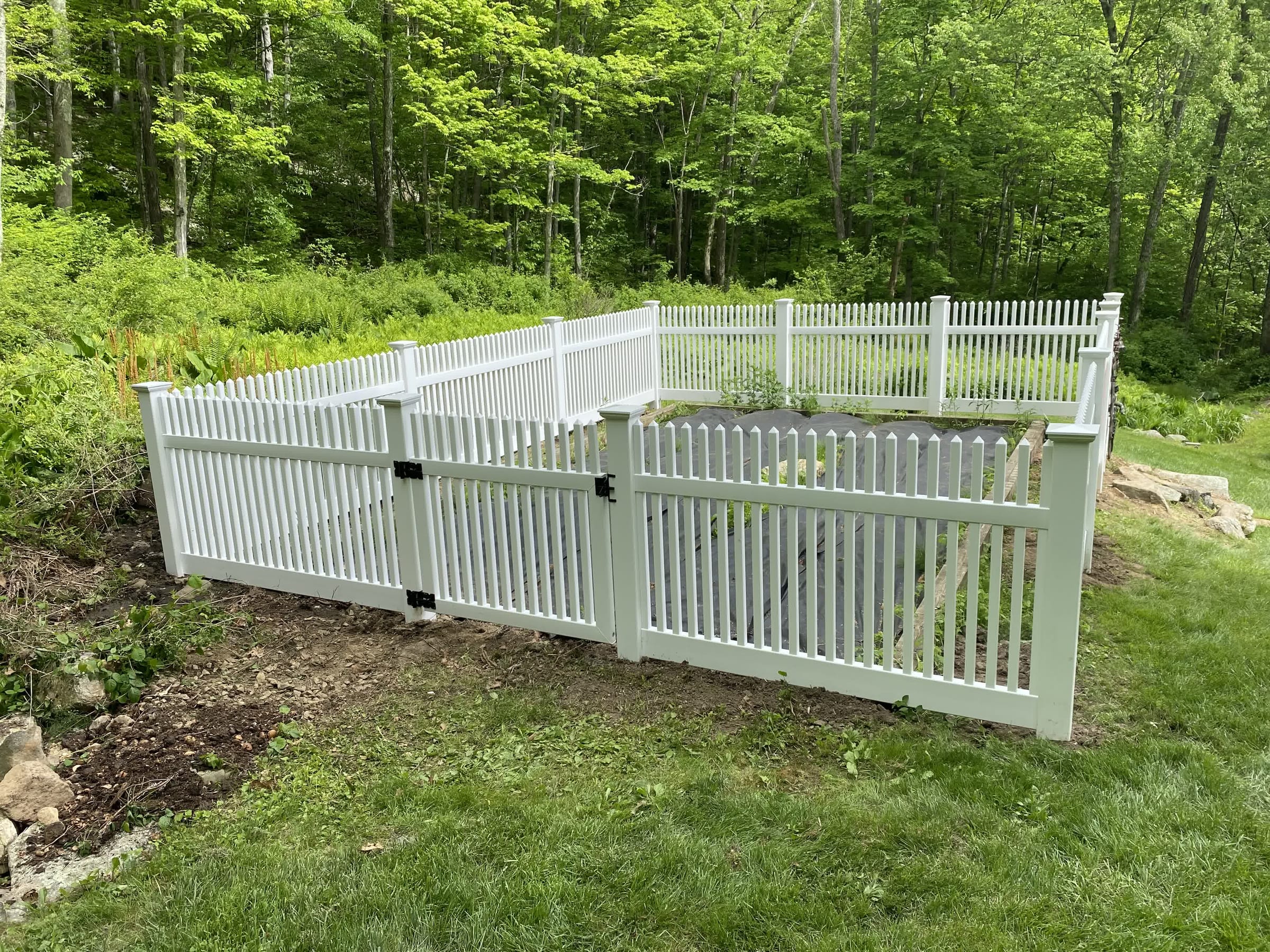 White vinyl picket fence with a gate enclosing a raised garden at a wooded lawn edge with ferns behind.