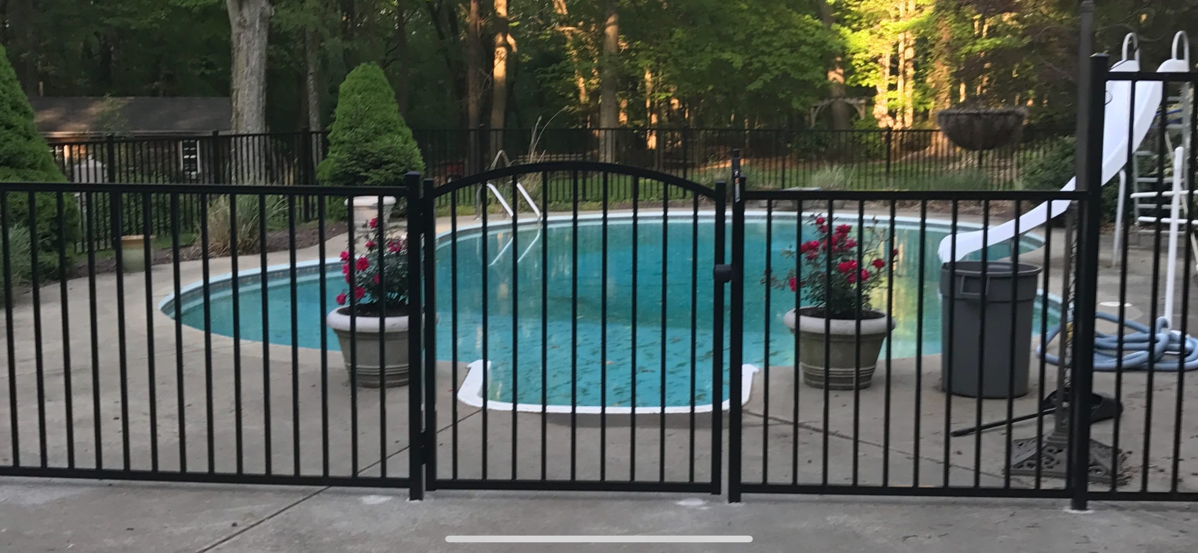 Black aluminum pool fence with an arched-top gate around an inground pool on a concrete deck, potted roses nearby
