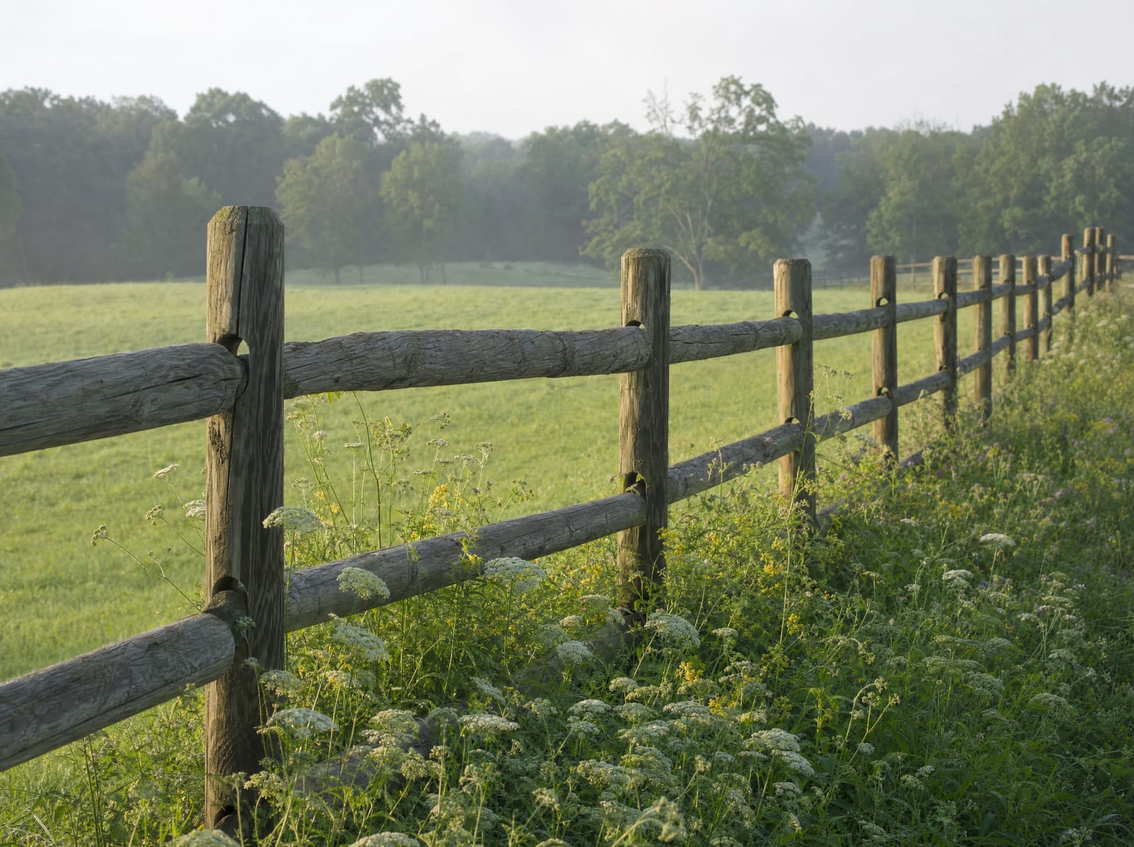 Wood post and rail fence along a green Connecticut pasture